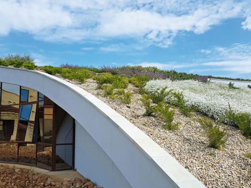 Pitched green roof in full bloom